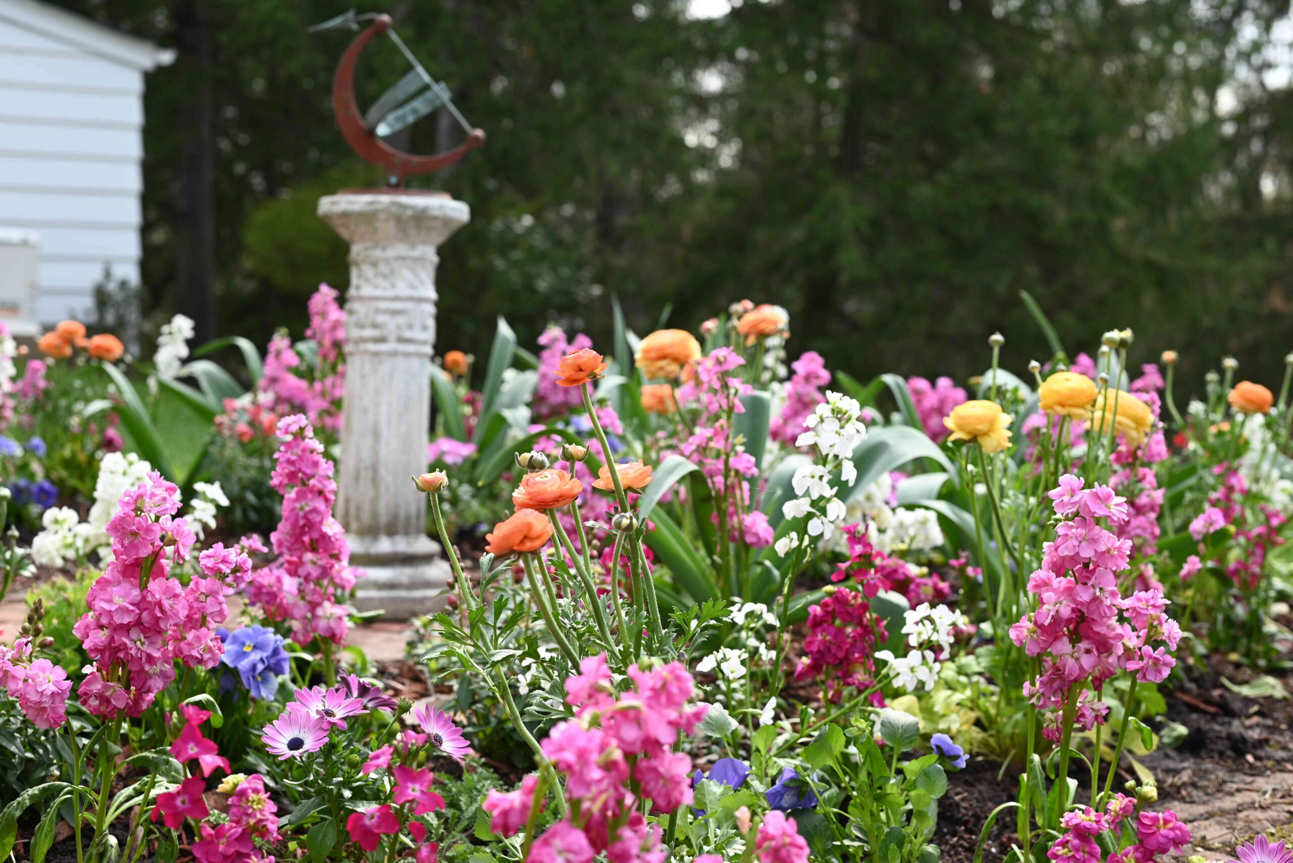 6 Gardening Tendencies That Will Be in Full Bloom in 2025, Gardeners Say