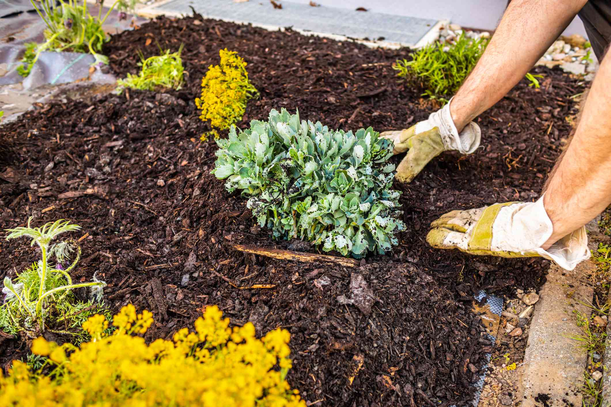 How Lots Does a Yard of Mulch Really Worth?