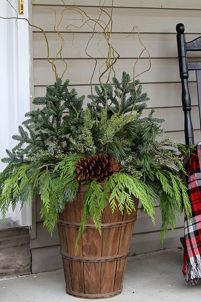 Learn the way to Make Winter Yard Planters • The Yard Glove