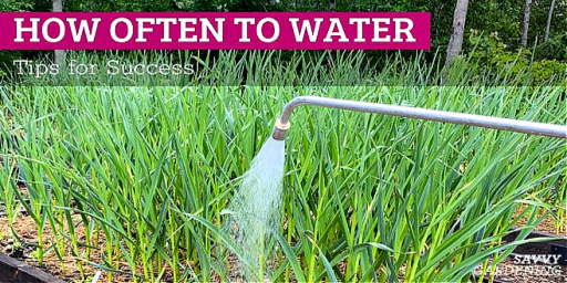 How Normally Must I Water My Yard? Strategies for Success!