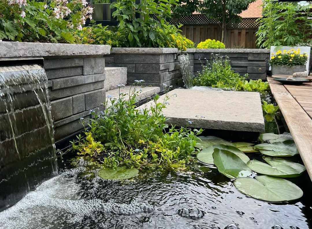 10 Water Yard Ideas to Create a Yard Oasis