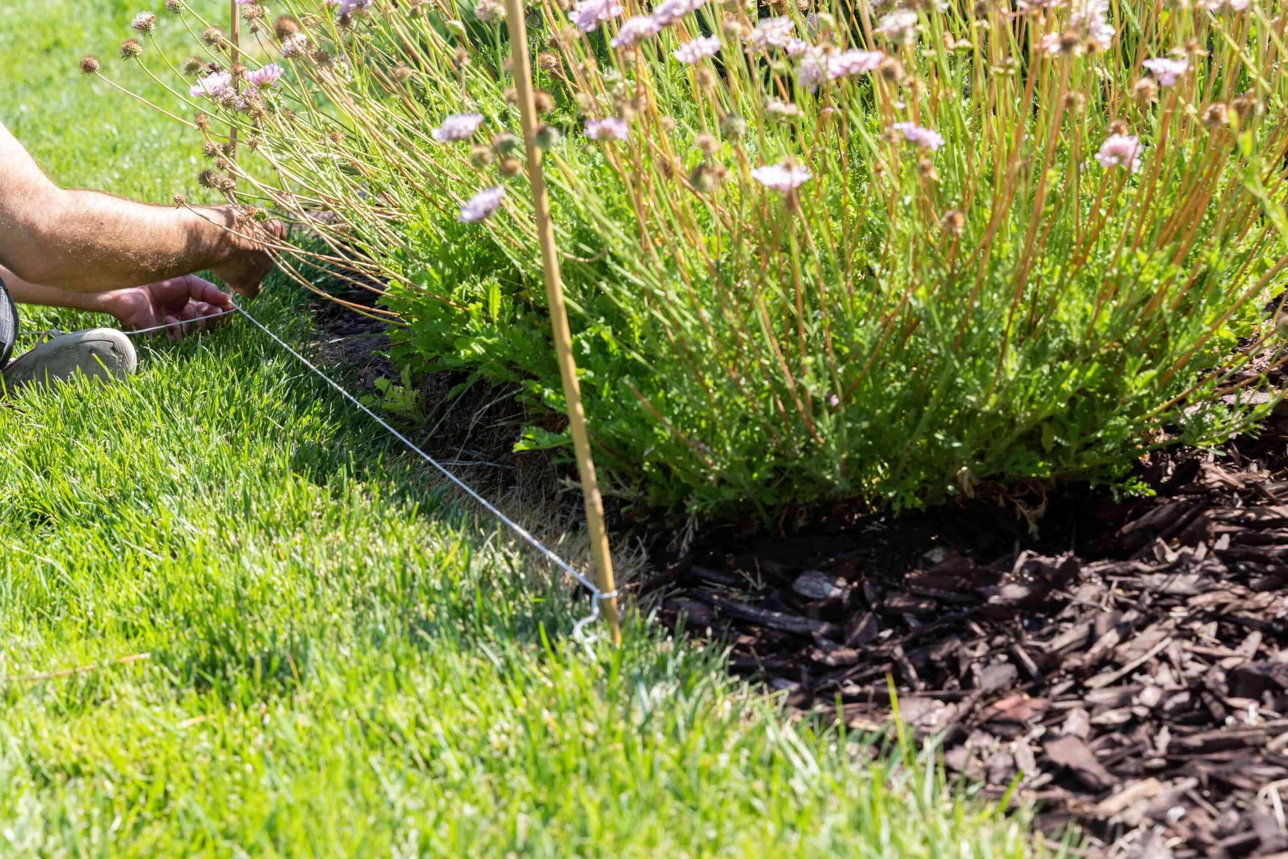 The suitable strategy to Edge a Yard Mattress Like a Skilled in 4 Steps