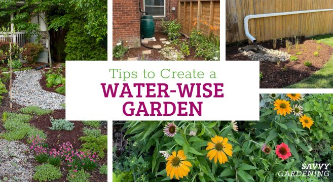 Tips to Create a Water-Sensible yard